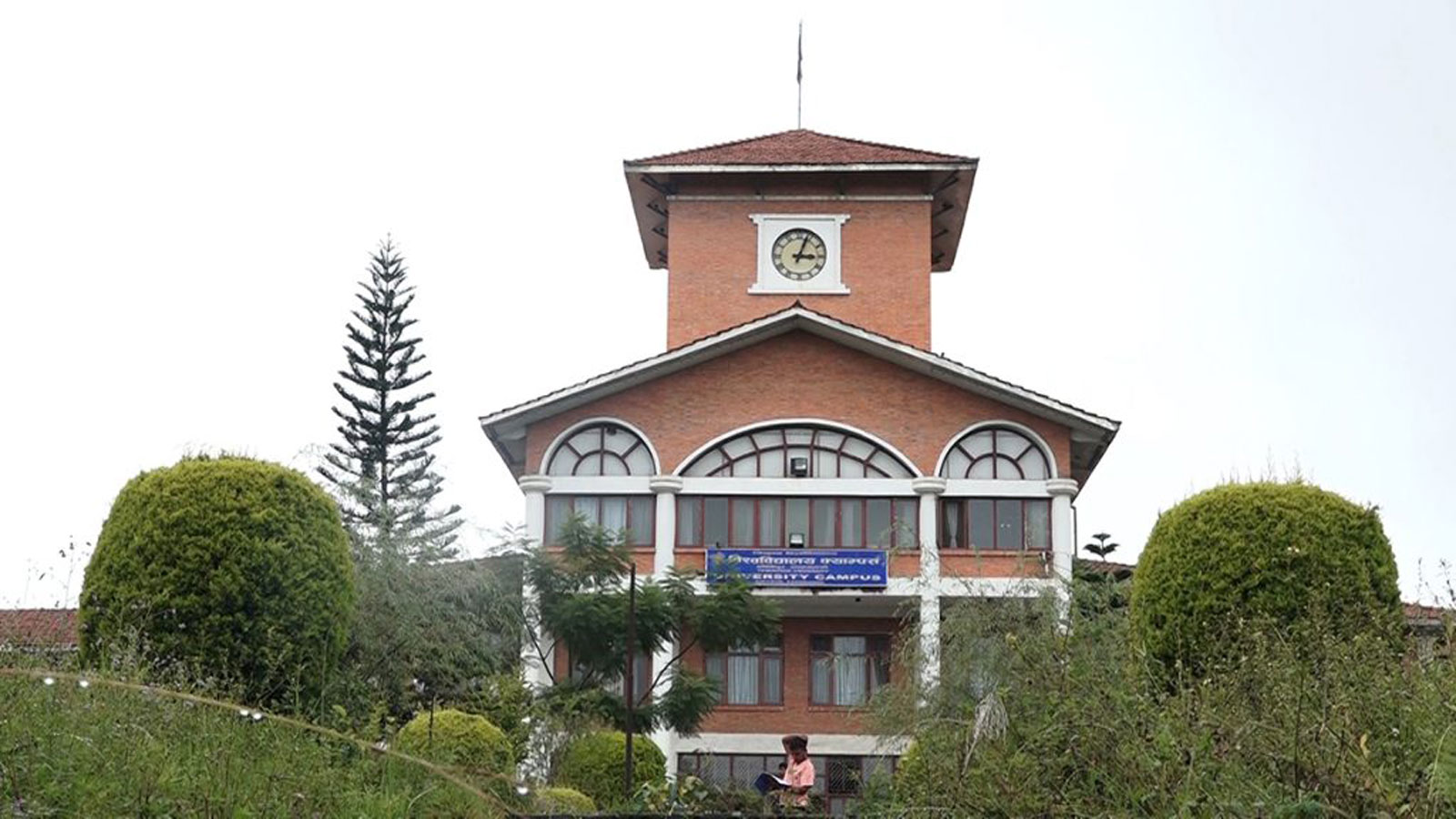 image image