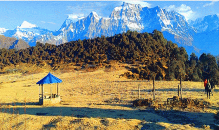 वर्षा र सडक नखुल्दा अहिलेसम्म पर्यटक ढोरपाटन उपत्यका र बुकीपाटनबाटै फर्किन बाध्य